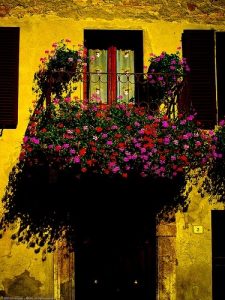 balcon florido