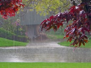 lluvia